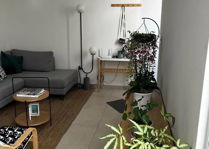 Apartment With A Private Terrace